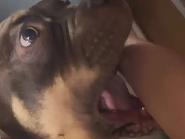 Уровень угрозы: критический⁠⁠