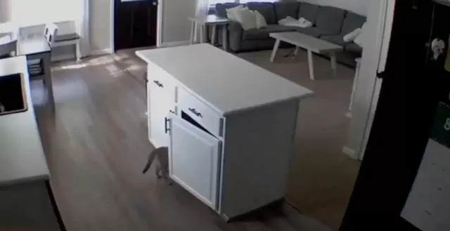 Понаставят тут...