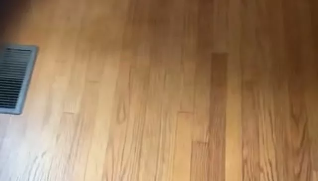 Как придумывают трассы для Формулы 1⁠⁠