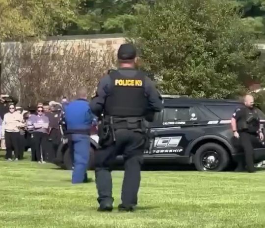 Лютая зверюга