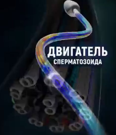 Всех поздравляю, мы доплыли