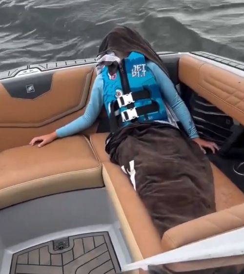 Сам на рыбалку с утра просился⁠⁠