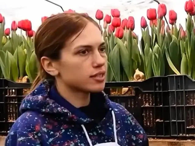 Сколько зарабатывают на выращивании тюльпанов