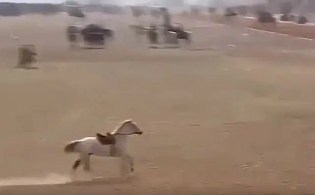 Эффектно оседлал коня на скаку!