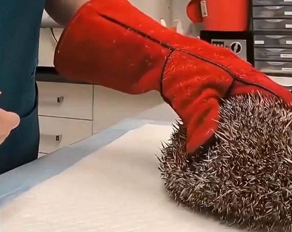 Неожиданно)