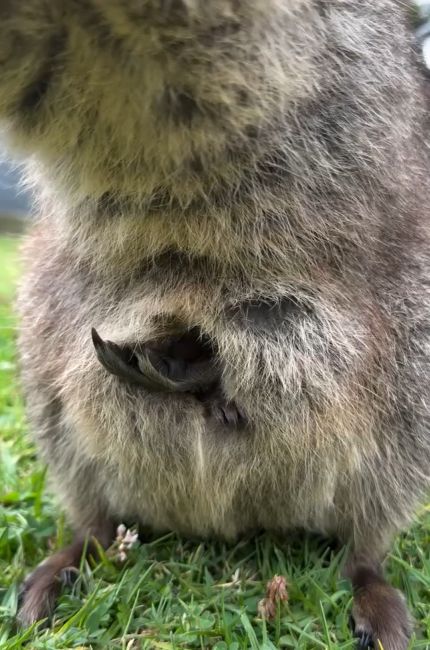 Всем привет!⁠⁠