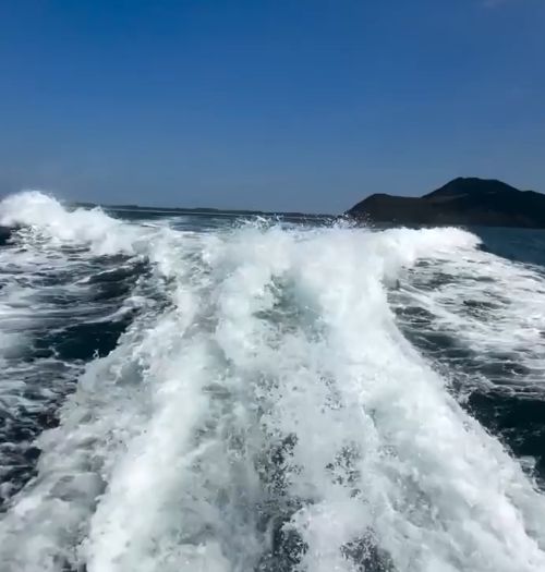 Дельфины прыгают на волнах⁠⁠