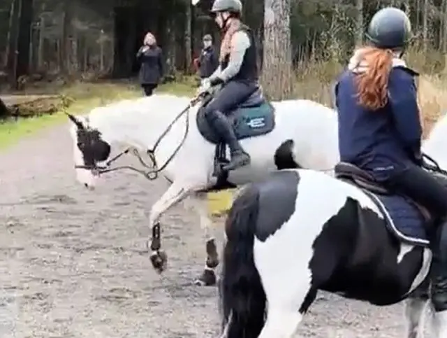 С меня хватит⁠⁠