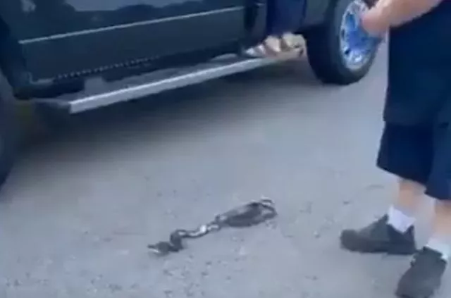 Из всего, что могло пойти не так, меньше всего ожидалось вот это⁠⁠