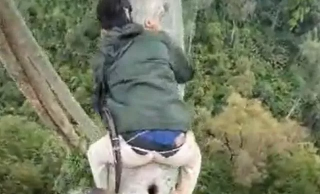 После просмотренного можно потерять дар речи