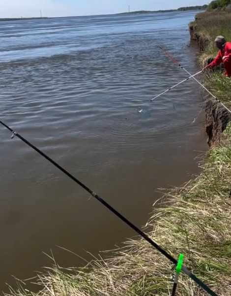 Конкурсы для рыбов⁠⁠