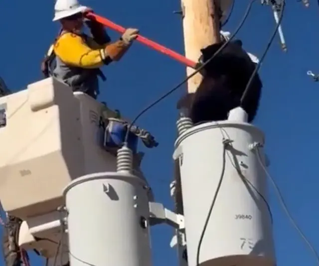 Мишка-электрик⁠⁠