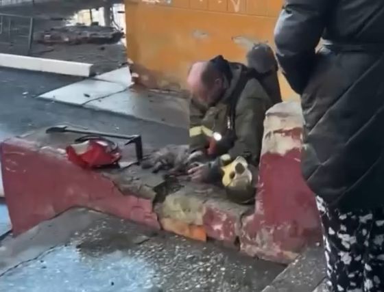 Такие испуганные глаза! В Тюмени после пожара реанимировали котика⁠⁠