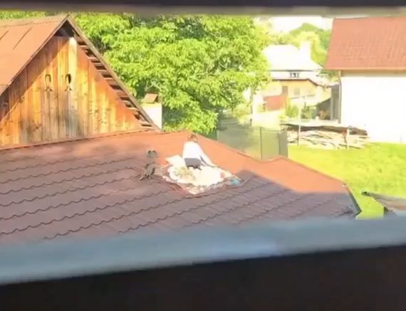 Сейчас бы вернуться в детство к бабушке в деревню, а не вот это вот всё...⁠⁠