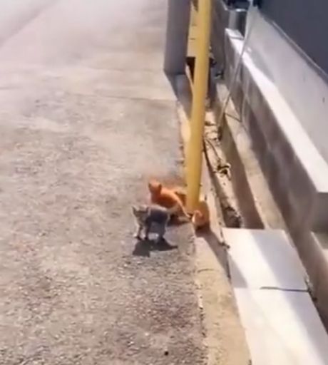 Кто, если не я