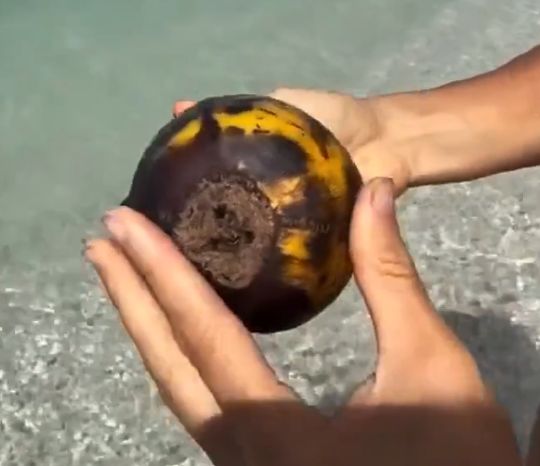 Фраза "Я позавтракал всего одним бананом" может вводить в заблуждение⁠⁠