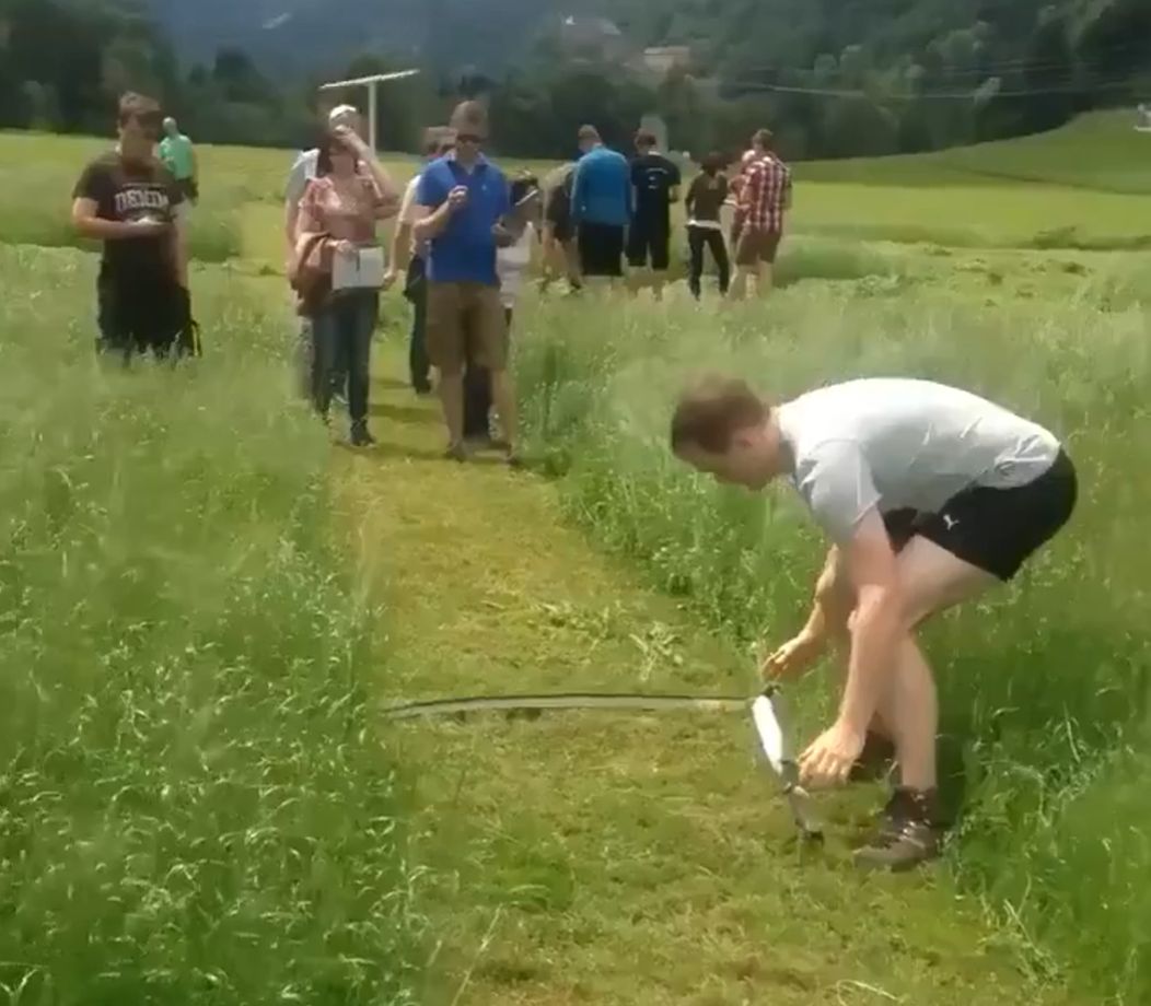 Коси, коса, пока роса
