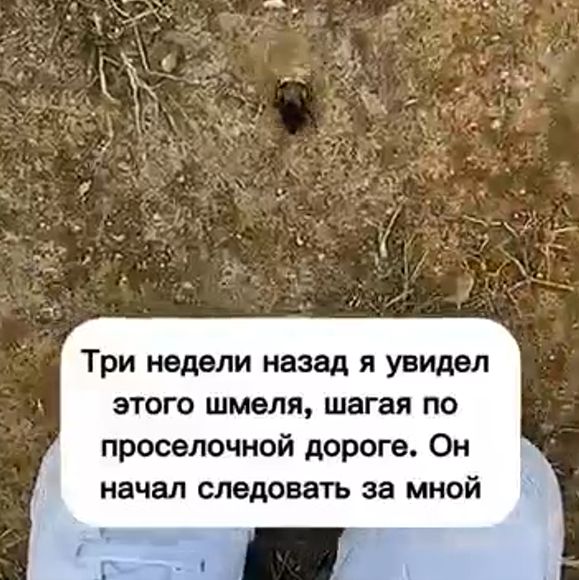 Маленькая жизнь⁠⁠
