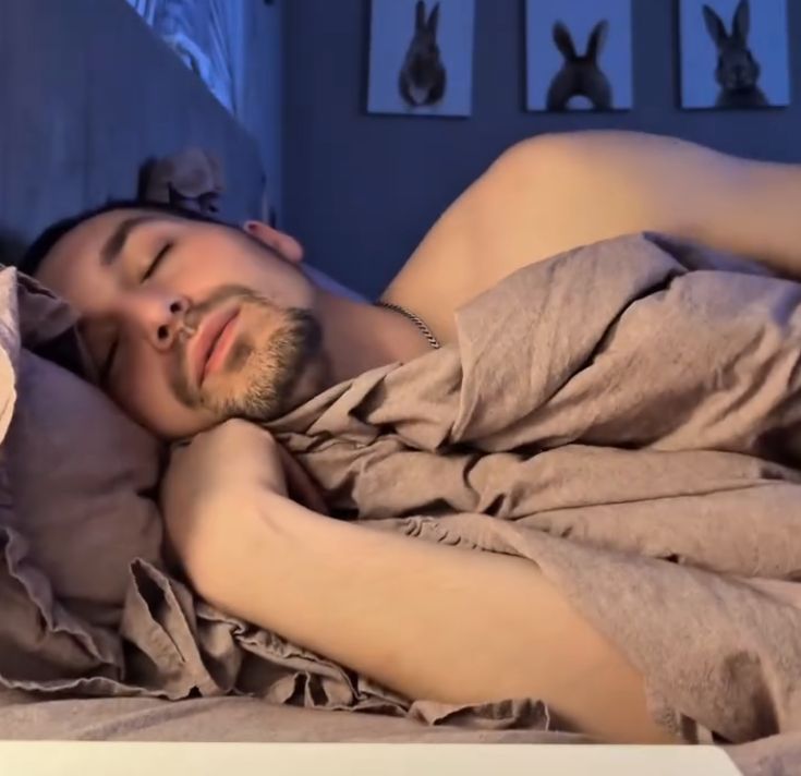 Чуткий сон кошатника