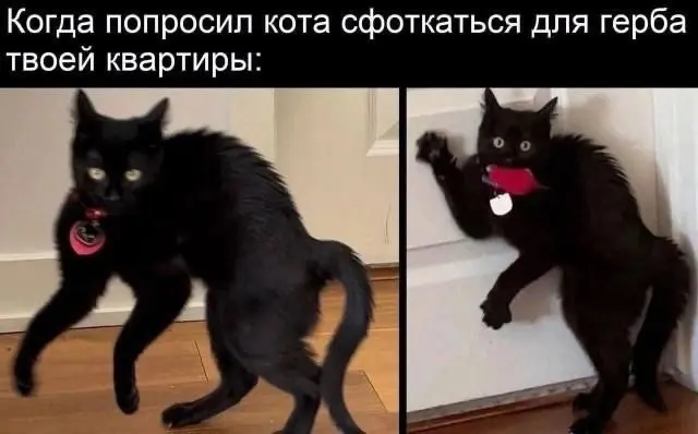 Смешные мемы (20 фото)