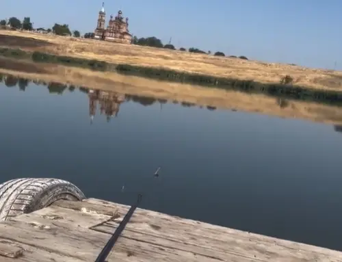 Лето. Девять утра.