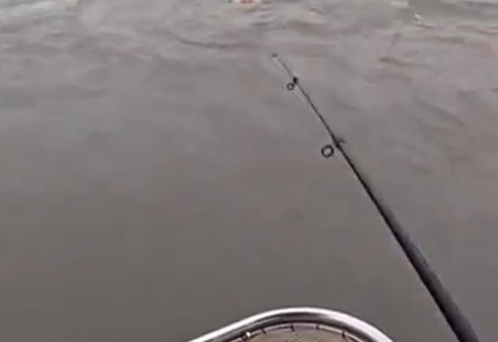 Рыбалка в дождь