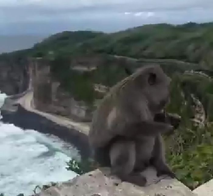 Диоры