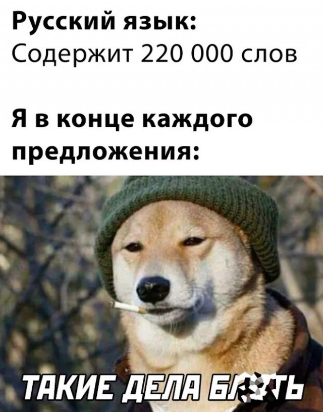 Юмор на любителя 06.05.2026