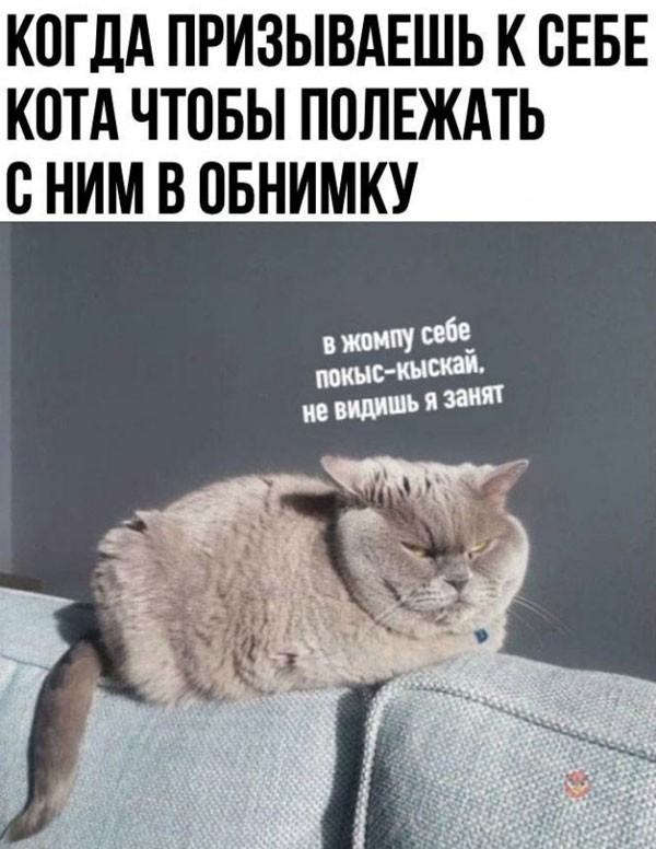 смешные картинки