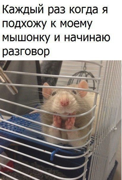 смешные картинки