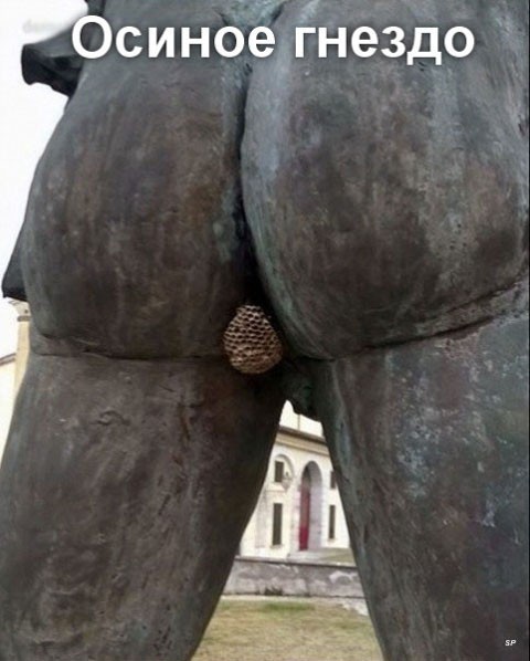 смешные картинки