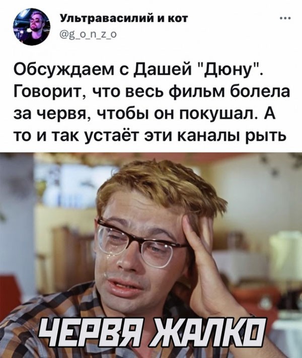 смешные картинки