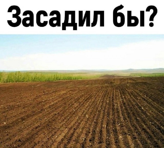 50 веселых картинок