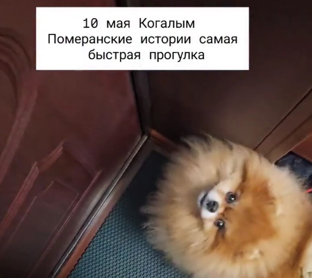 Она ещё и виновата оказалась