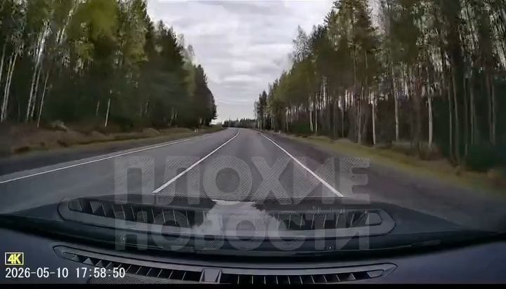 "— Тихо, тихо, тихо, успокойся, успокойся, ты у меня умница смотри какая! — Где эта с*ка? Я ее убью, нах*й!"