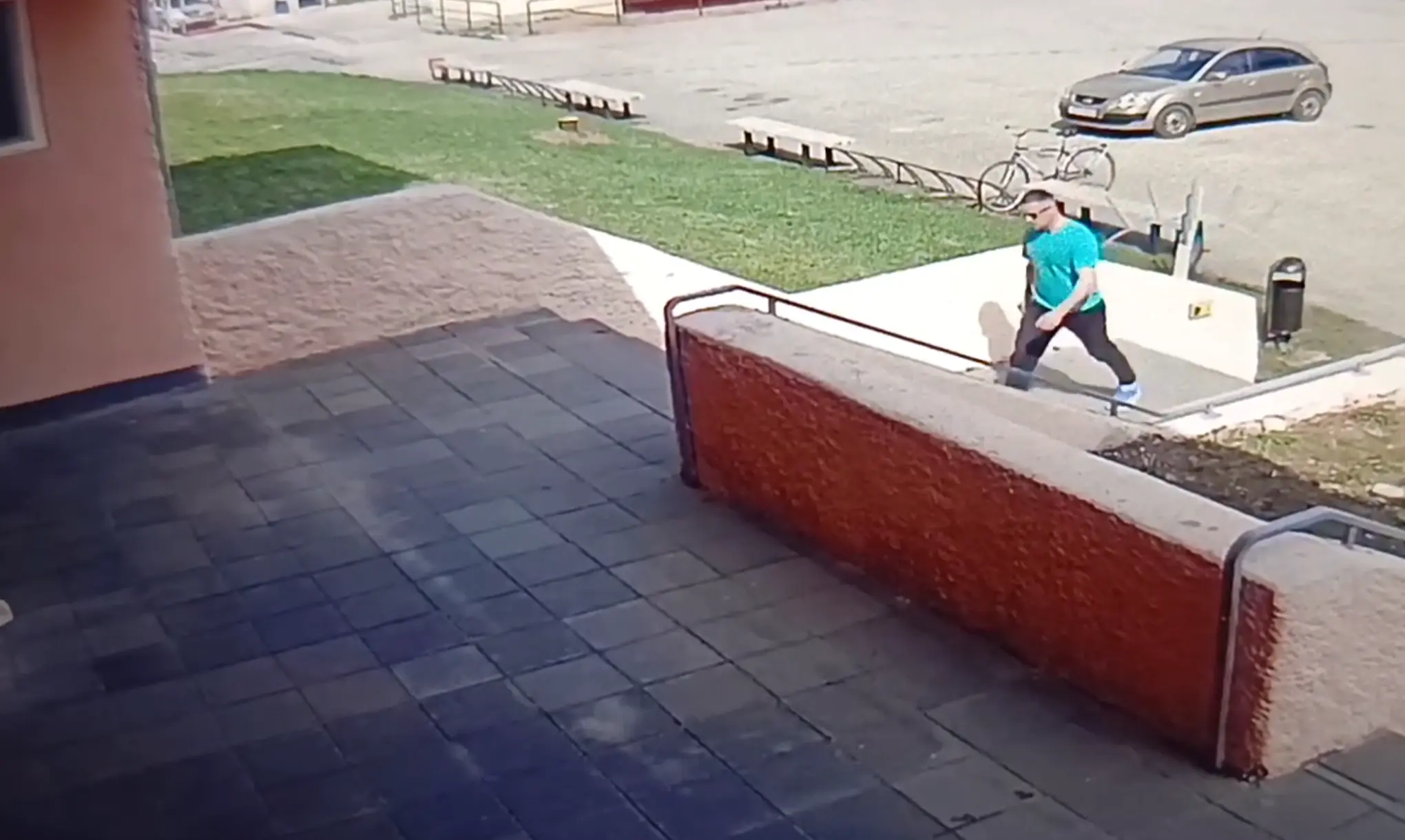 Дал отпор собаке