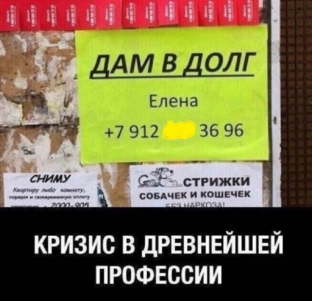 Свежие мемы и картинки для хорошего настроения