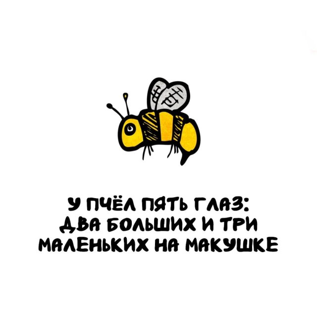 Интересные факты на все случаи жизни 03.05.2026
