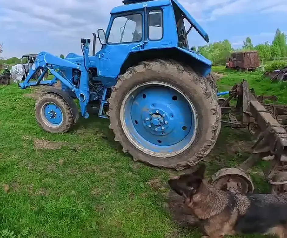 По полям, по полям...