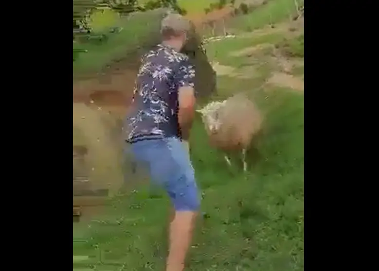 Коррида на минималках⁠⁠