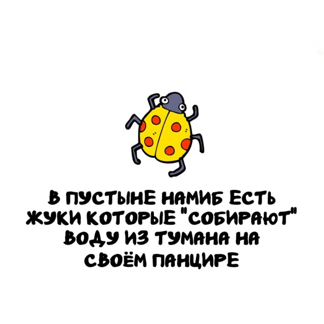 Интересные факты на все случаи жизни 05.05.2026