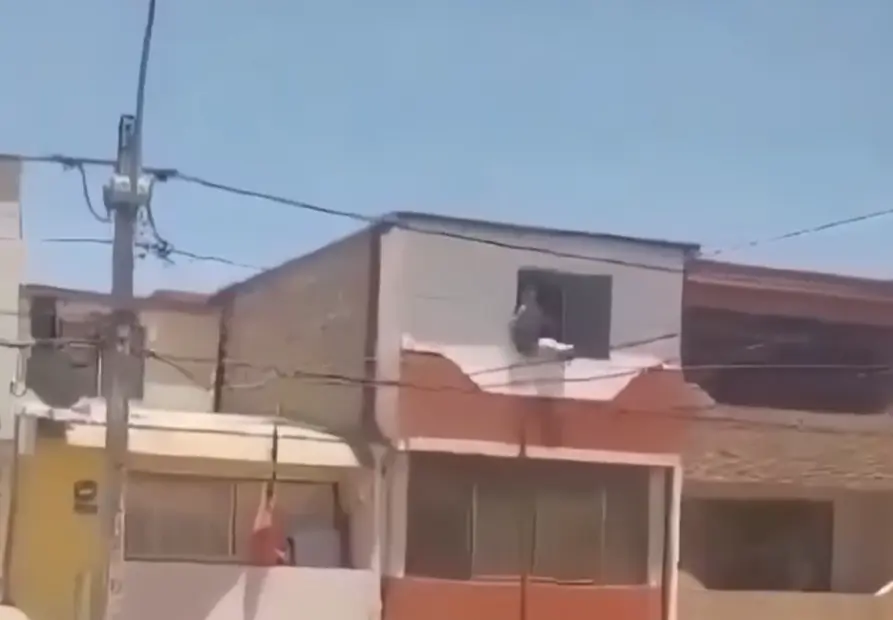 Цена измены⁠⁠