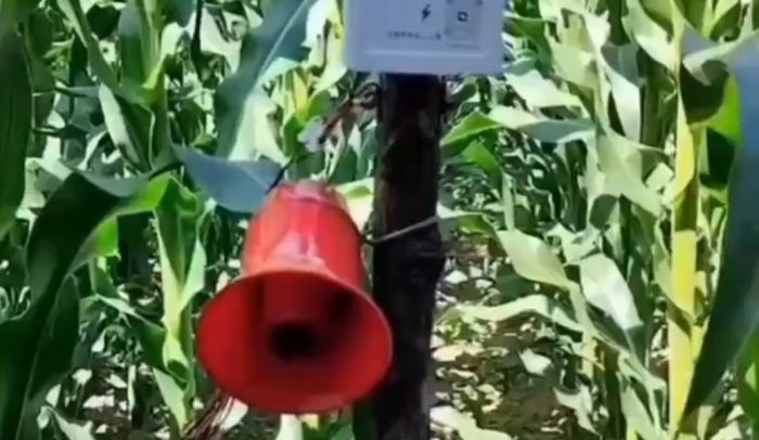 Огородный отпугиватель