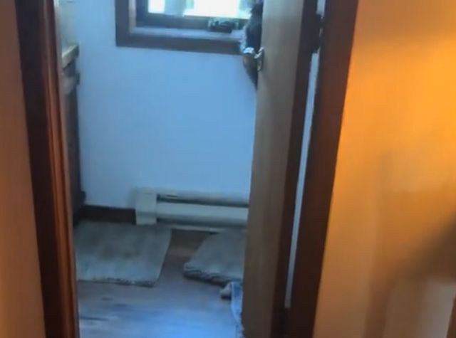 Котострофа⁠⁠