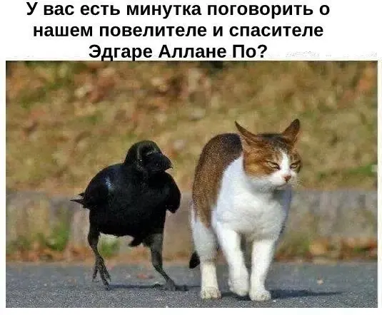 Смешные мемы