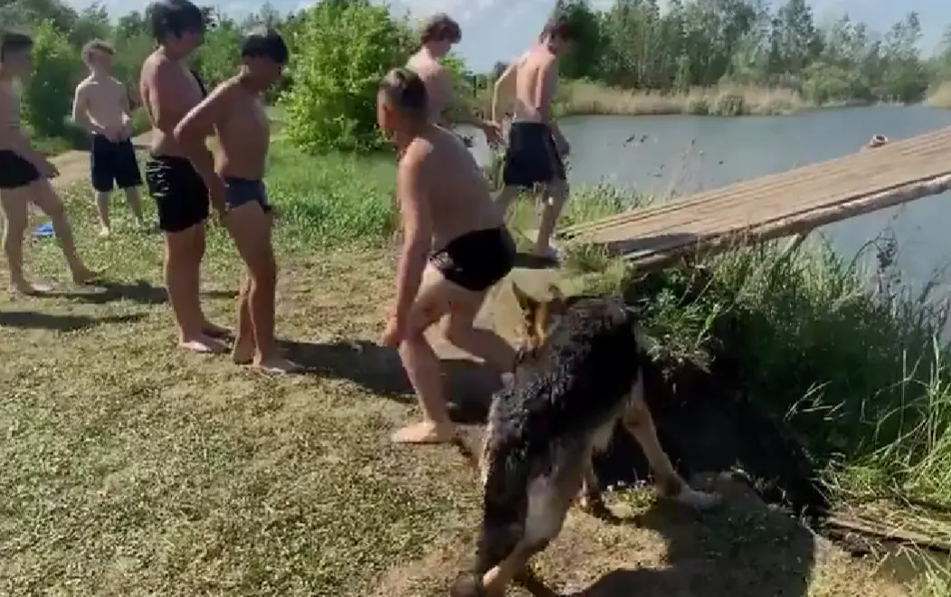 Спасательница
