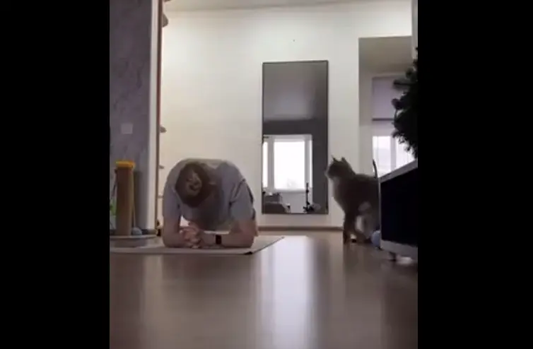 Абьюзер⁠⁠