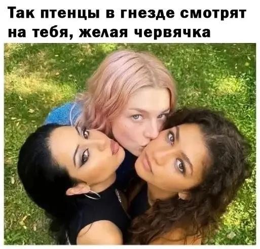 Пачка мемов (40 фото)