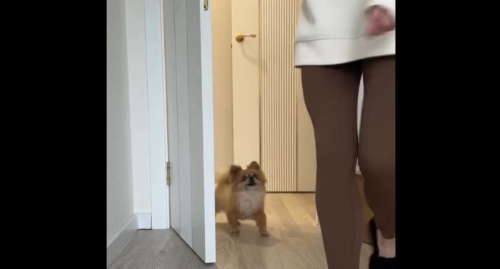 Ну где же ты?