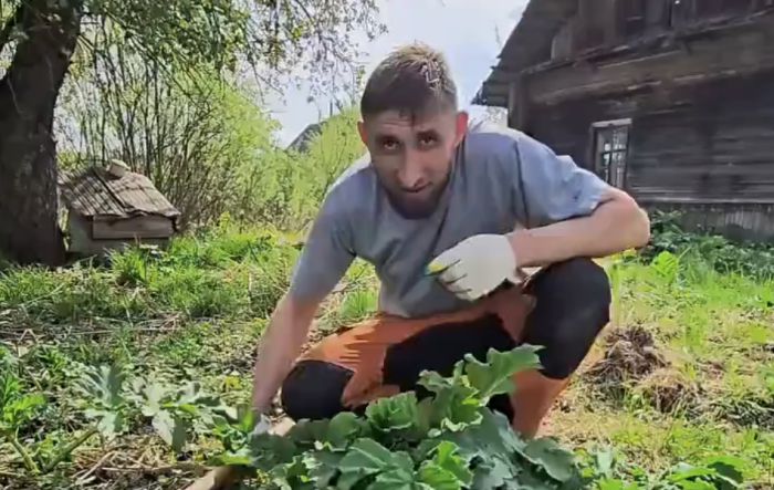Главное в лесу им не подтереться